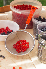 Berries red currants. Sour garden berries. Red bush berries.
