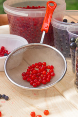 Berries red currants. Sour garden berries. Red bush berries.