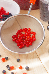 Berries red currants. Sour garden berries. Red bush berries.
