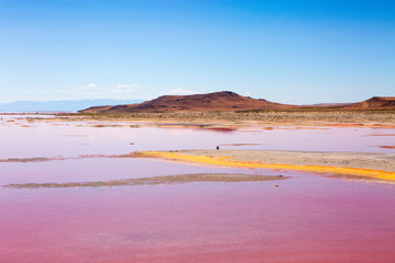 the pink water great salt lake utah love and romantic mineral salty water salt lake city utah