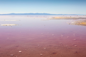 the pink water great salt lake utah love and romantic mineral salty water salt lake city utah