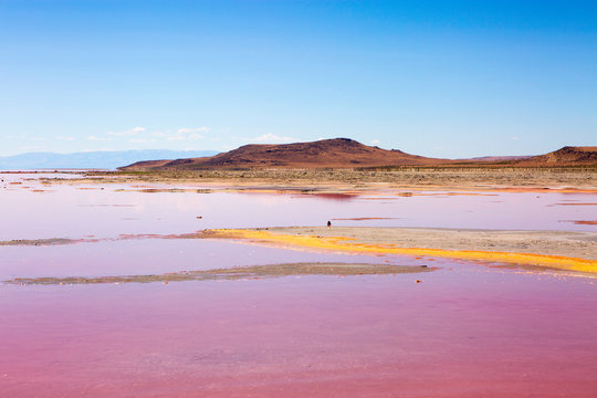 the pink water great salt lake utah love and romantic mineral salty water salt lake city utah