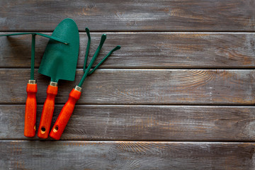 Gardening tools on wooden background top view mock up
