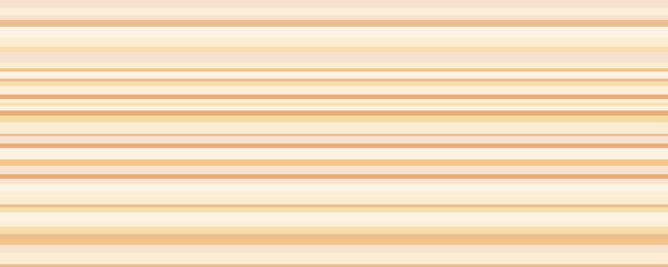 Obraz premium Seamless texture with many lines. Abstract colour stripes. Geometric colorful wallpaper. Print for interior design