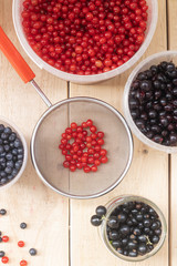 Berries from his garden. Garden berries. Berries from the bushes. Red currant black currant gooseberry. Variety of berries.