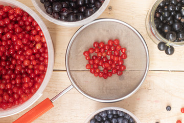 Berries from his garden. Garden berries. Berries from the bushes. Red currant black currant gooseberry. Variety of berries.
