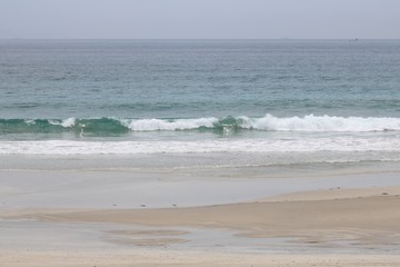 綺麗な海の波と砂浜