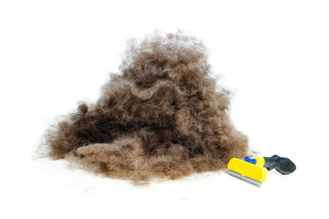 A lot of dog wool, spring pet moulting concept. Isolated on white