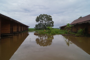 Obraz premium Amazonas Colombia