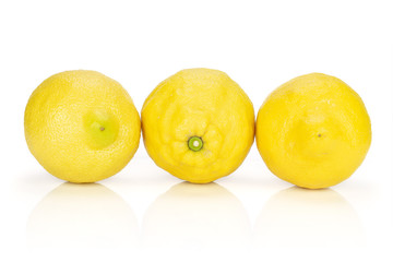 Group of three whole fresh yellow lemon placed in a row isolated on white background