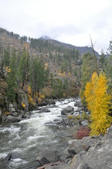Wenatchee River in Fall V