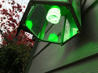 Greenlight a Vet Fall