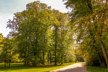 Fototapeta premium Munique