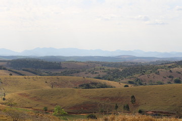 Fototapeta premium Paisagem rural