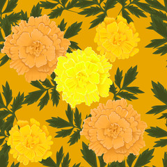Seamless pattern with yellow and orange marigolds. Vector graphics.