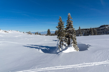 Winter landscape of Vitosha Mountain, Bulgaria