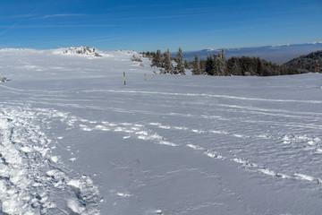 Winter landscape of Vitosha Mountain, Bulgaria