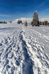 Winter landscape of Vitosha Mountain, Bulgaria
