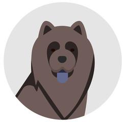 chow-chow illustration in circle illustration on white background