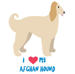 I love my afgan hound