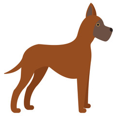 german dogge illustration on white background
