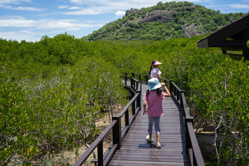 Fototapeta na wymiar Children walking the wooden bridge, watching the mangrove forest