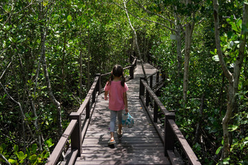 Children walking the wooden bridge, watching the mangrove forest