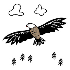 Eagle illustration on white background