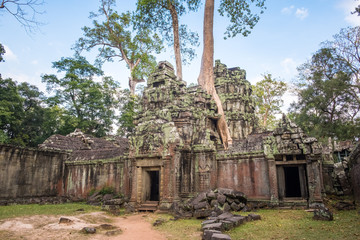 Fototapeta premium Ta Prohm temple, one of Angkor's best visited monuments. It is known for the huge trees and massive roots growing out of its walls in Siem Reap, Cambodia.