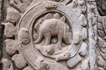 The Dinosaurs (maybe Stegosaurus) carving at 800 years old Ta Prohm temple in Siem Reap of Cambodia.