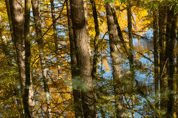 Obraz premium 上高地