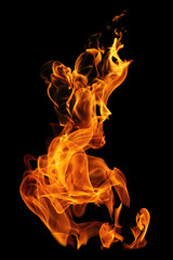 movement of fire flames isolated on black background.