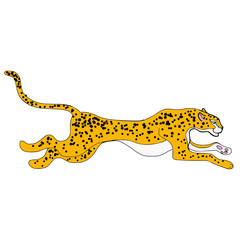 Cheetah illustration on white background