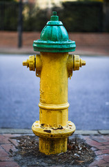 Yellow Green Rustic Vintage Fire Hydrant on Street