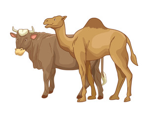Cow and camel animals cartoon isolated