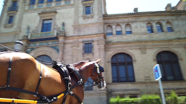 Pferde Kutschenfahrt in Sevilla, Spanien, Andalusien 