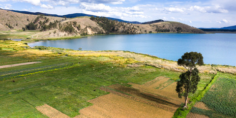 Crop fields in the Peruvian Andes (Paca lake) in Junin