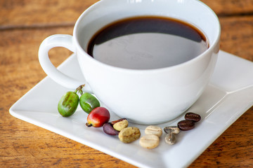 tasse de café avec l’évolution de la graine de café