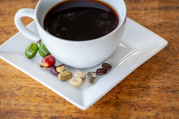 tasse de café avec l’évolution de la graine de café