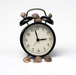 snail and clock