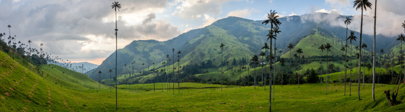 Panorama de la vall&eacute;e de Cocora avec ses palmiers g&eacute;ant pr&eacute;s de Salento, Colombie