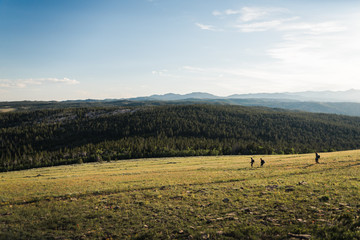 Hikers walking down a hill near Lander, Wyoming during summer.  © Rosemary
