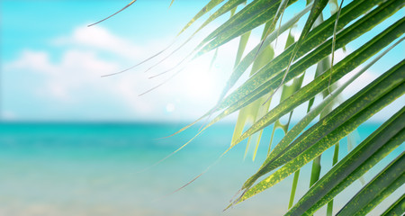 Clear blue sea with flare sunny sky summer season with cloud and green coconut tree leaves in foreground background.
