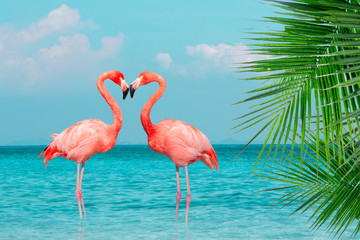 Vintage and retro collage photo of  flamingos standing in clear blue sea with sunny sky summer season with cloud and green coconut tree leaves in foreground. - obrazy, fototapety, plakaty