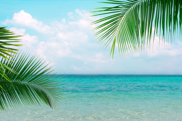 Photo of clear blue sea with sunny sky summer season with cloud and green coconut tree leaves in foreground background.