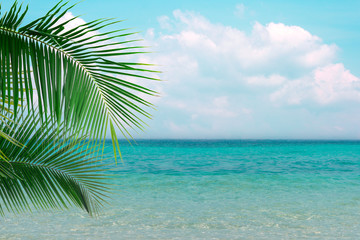Photo of clear blue sea with sunny sky summer season with cloud and green coconut tree leaves in foreground background.