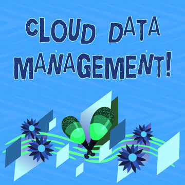 Text sign showing Cloud Data Management. Conceptual photo A technique to analysisage data across cloud platforms Colorful Instrument Maracas Handmade Flowers and Curved Musical Staff