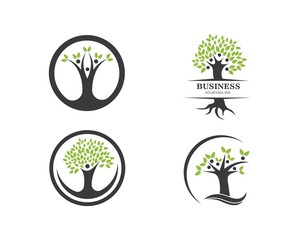family tree logo template vector illustration