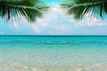 Fototapeta na wymiar Retro collage photo of clear blue sea with sunny sky summer season with cloud and green coconut tree leaves in foreground.