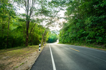 Fototapeta na wymiar Paved road , Lush spring green trees and vegetation make for a beautiful scene along a road